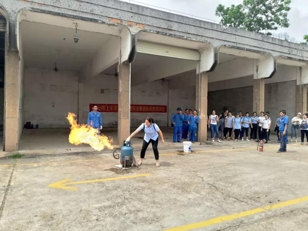 15399398921861.jpg 5.jpg