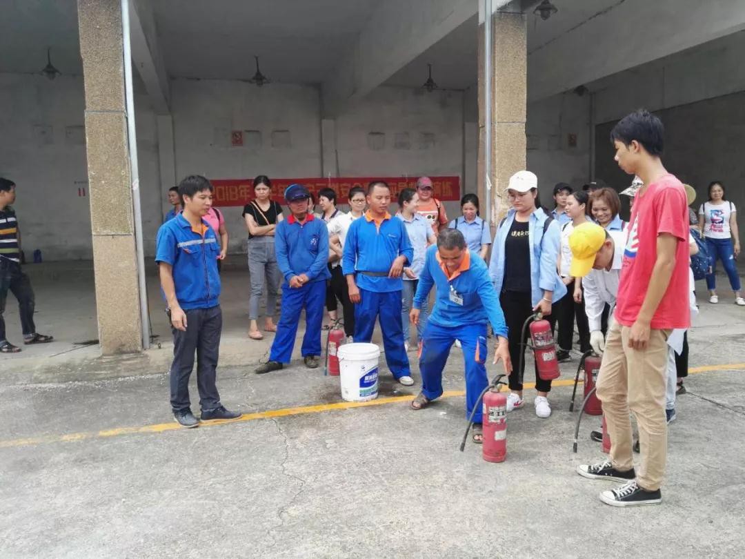 15399399363431.jpg 7.jpg