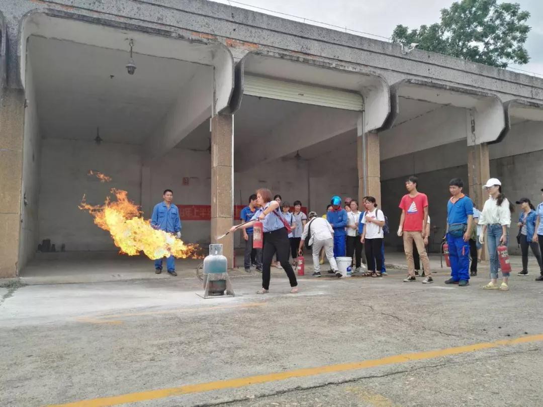 15399399611260.jpg 8.jpg